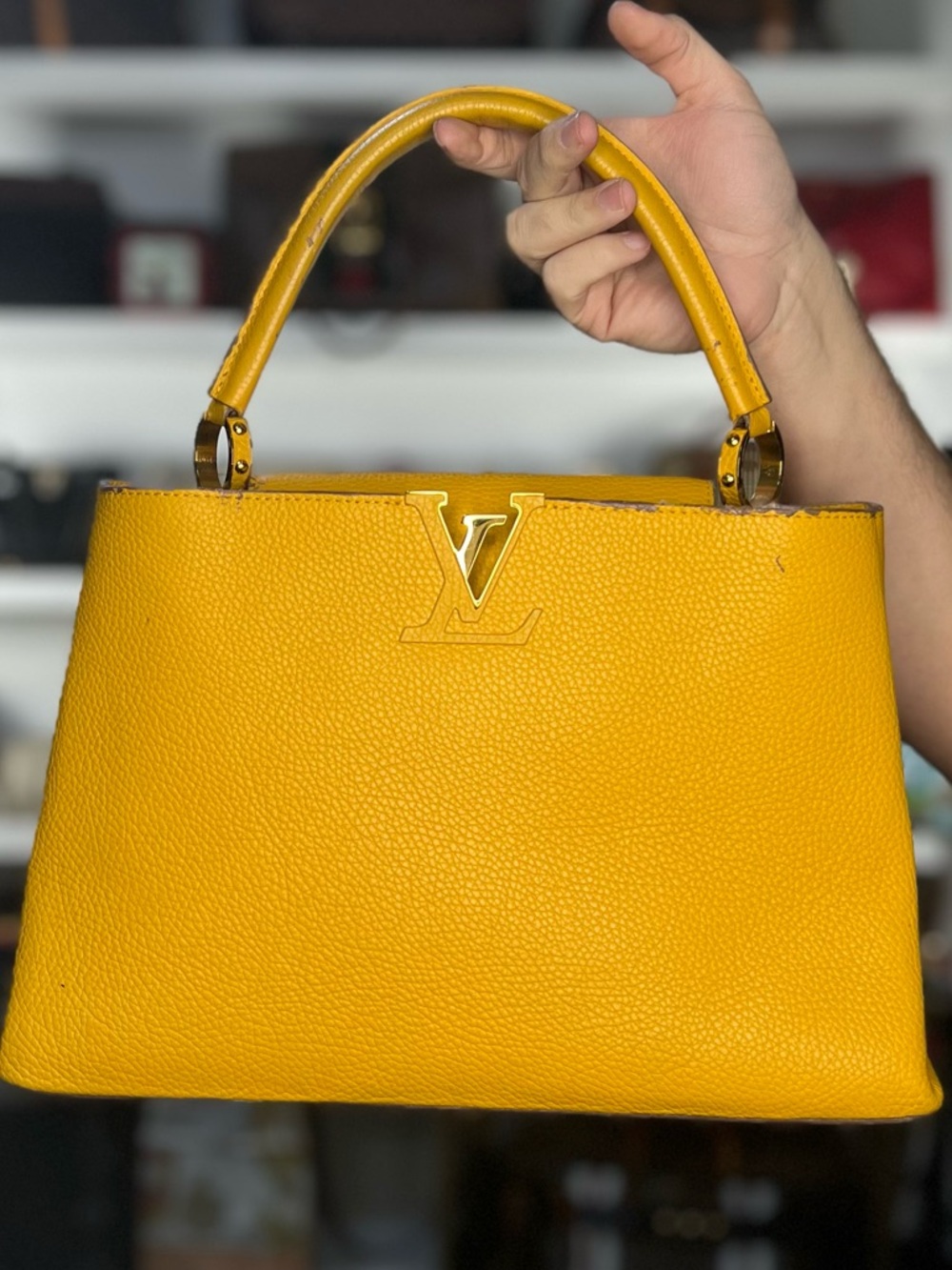 $6000 RETAIL LV BAG - Picture 1 of 1